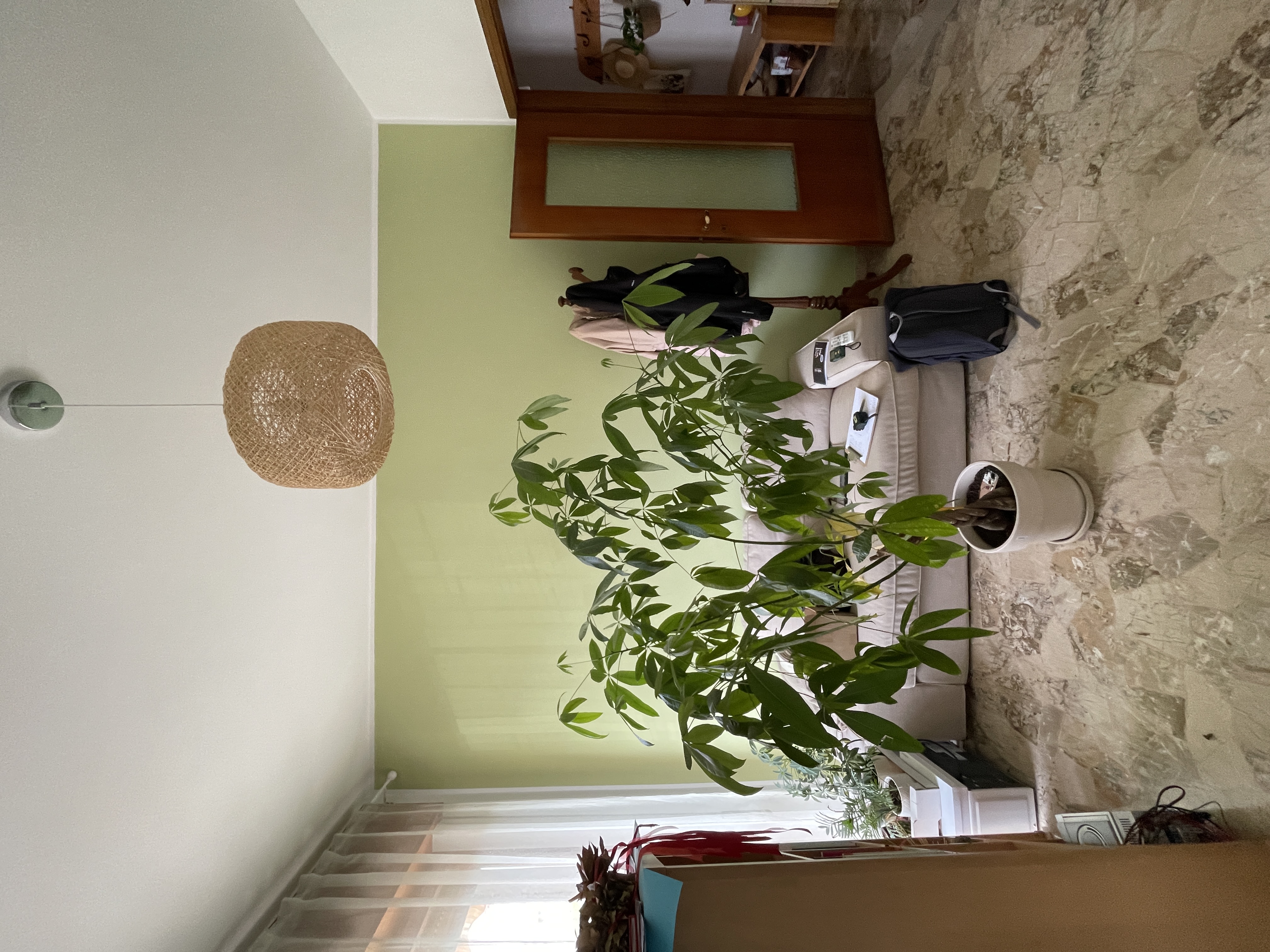 Stanza AB — prima 2